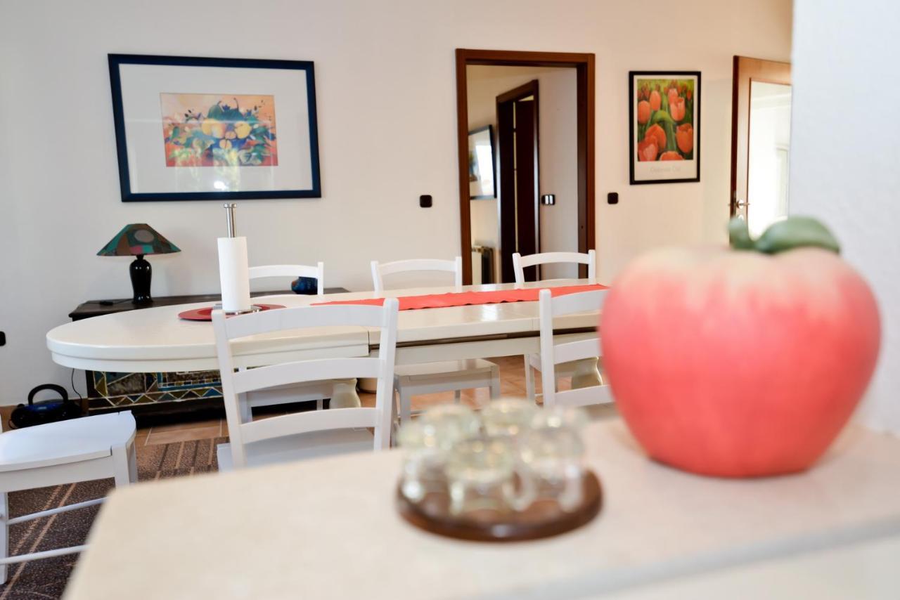 Apartmani Vidikovac Dokoza زادار المظهر الخارجي الصورة