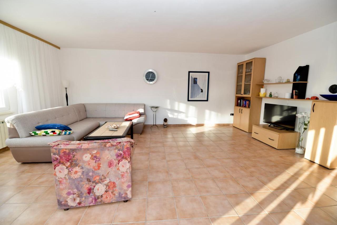 Apartmani Vidikovac Dokoza زادار المظهر الخارجي الصورة